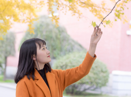 东莞到菲律宾旅游签证要求(旅游签最新要求)